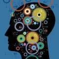 Critical Thinking Training course in Cambodia designed for professionals learning analytical thinking, problem-solving, and effective decision-making in the workplace